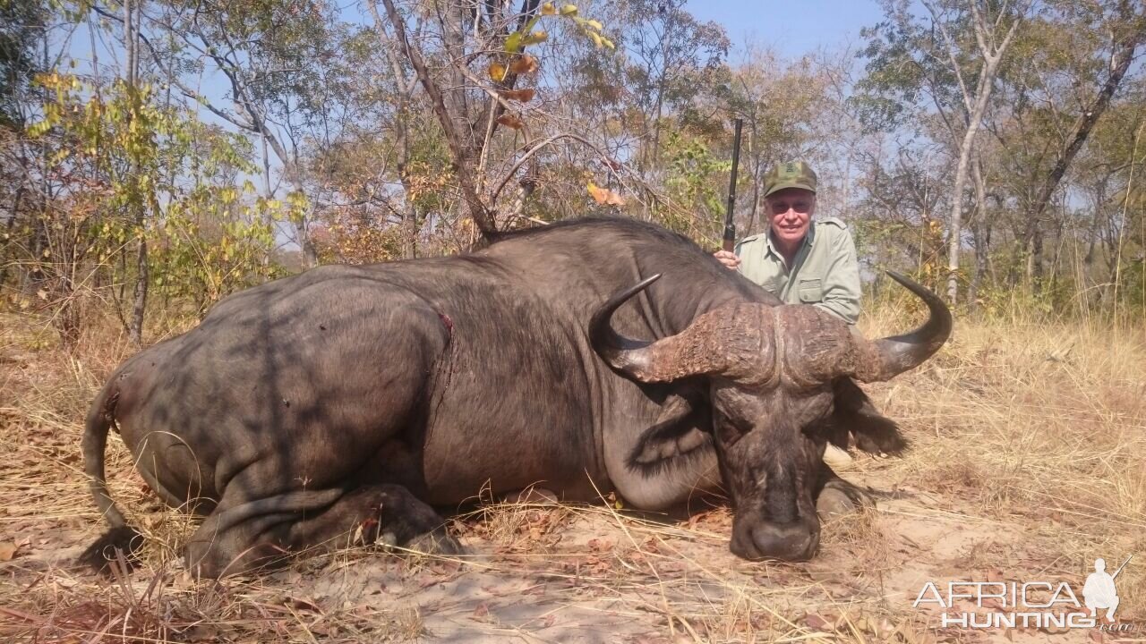 Buffalo Hunting in Zimbabwe