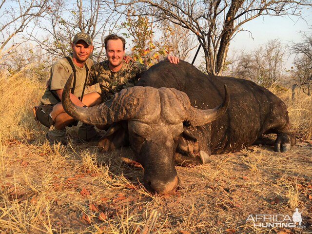 Buffalo Hunting in Zimbabwe