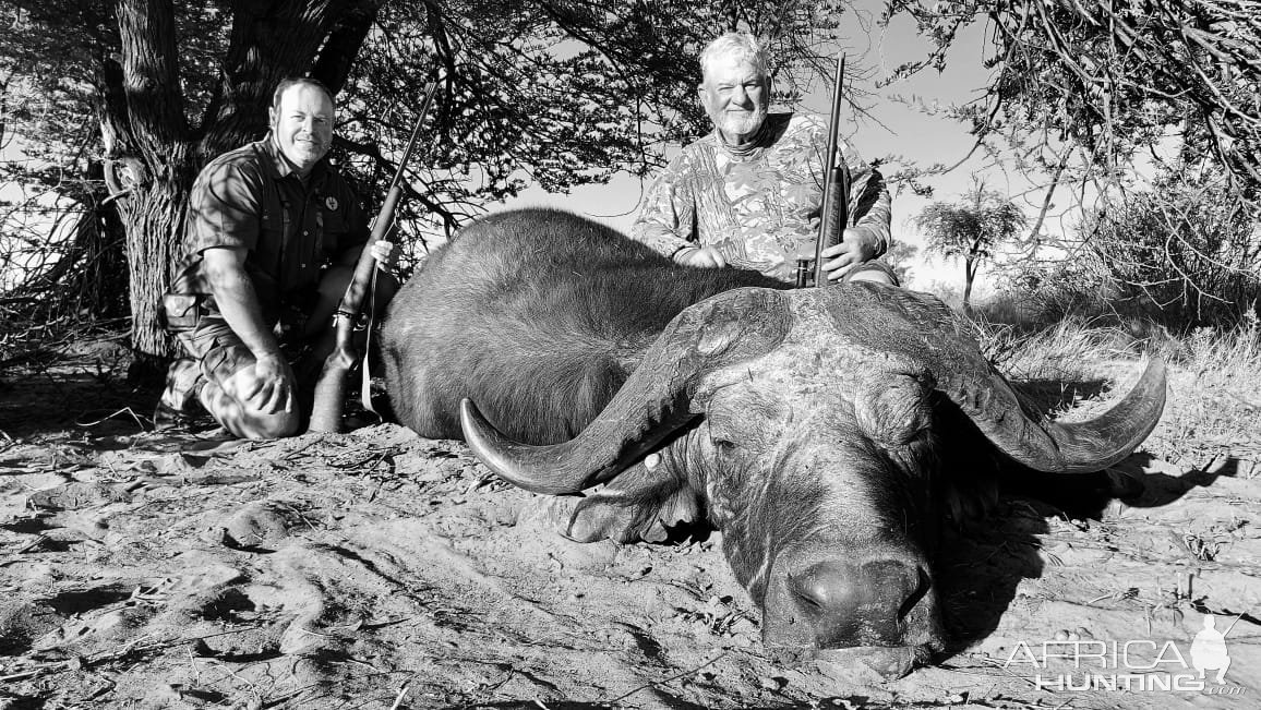 Buffalo Hunting Kalahari South Africa