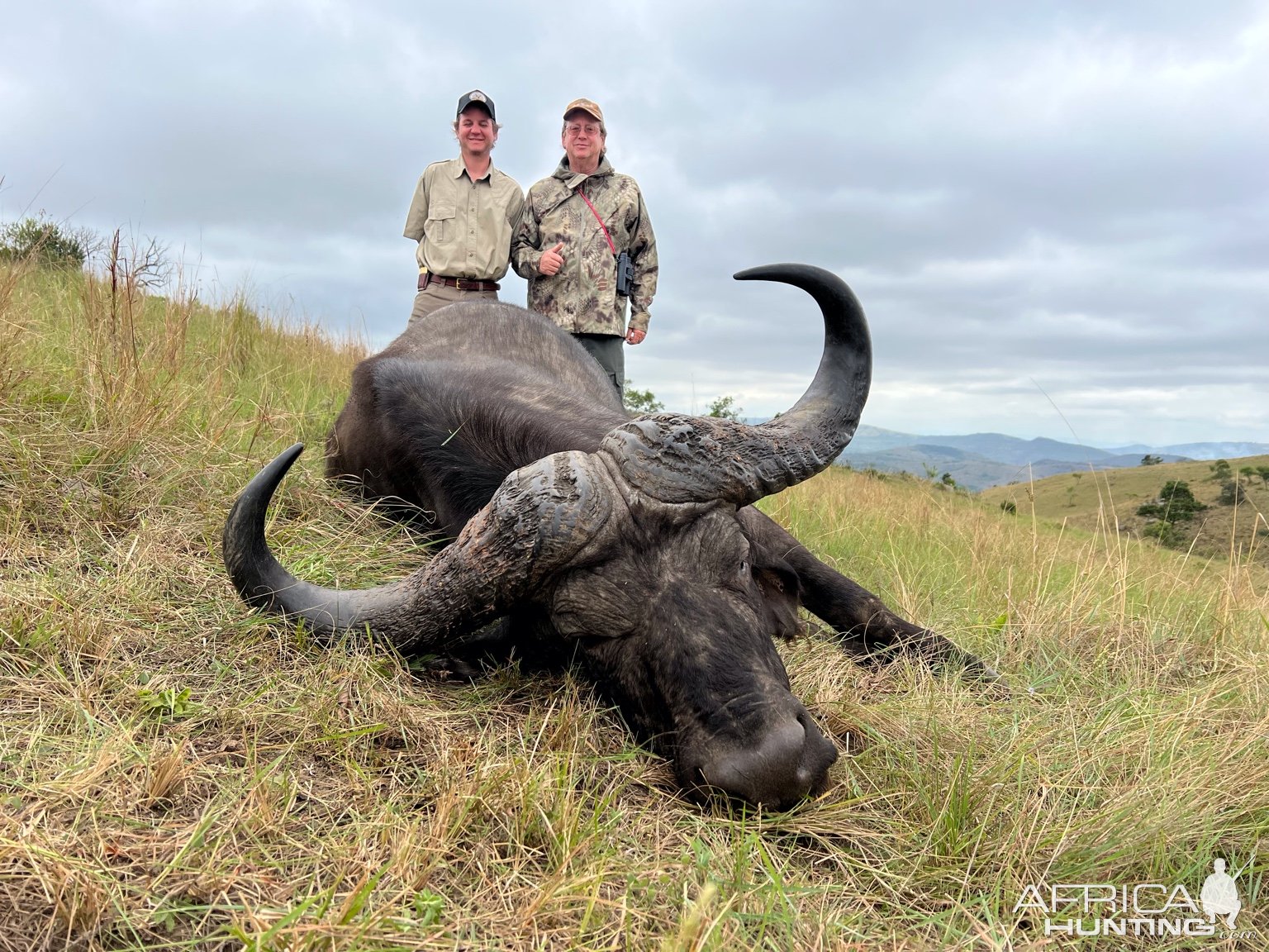 Buffalo Hunting Kwazulu Natal South Africa