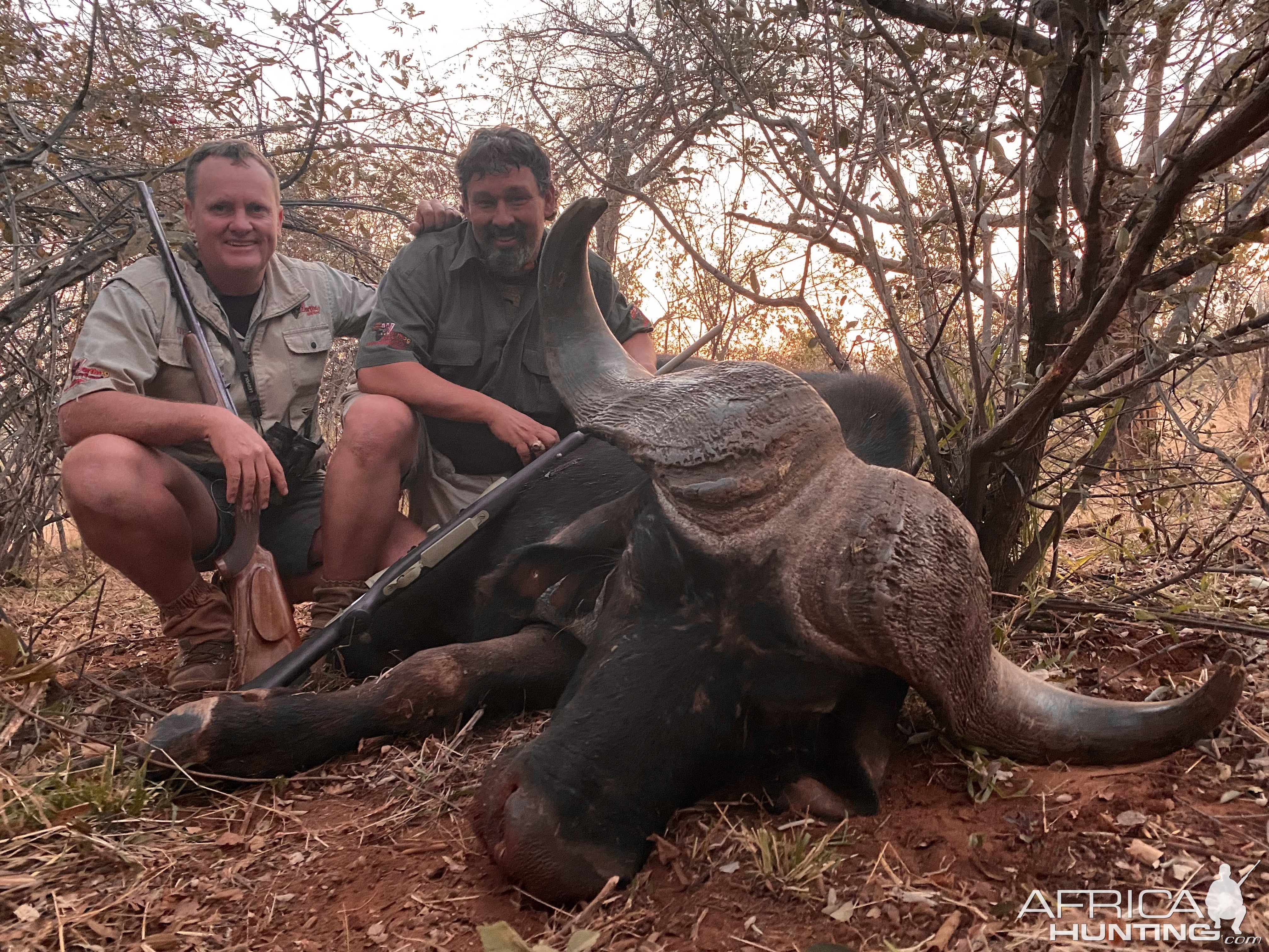 Buffalo Hunting Limpopo South Africa