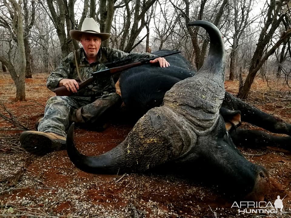 Buffalo Hunting Limpopo South Africa