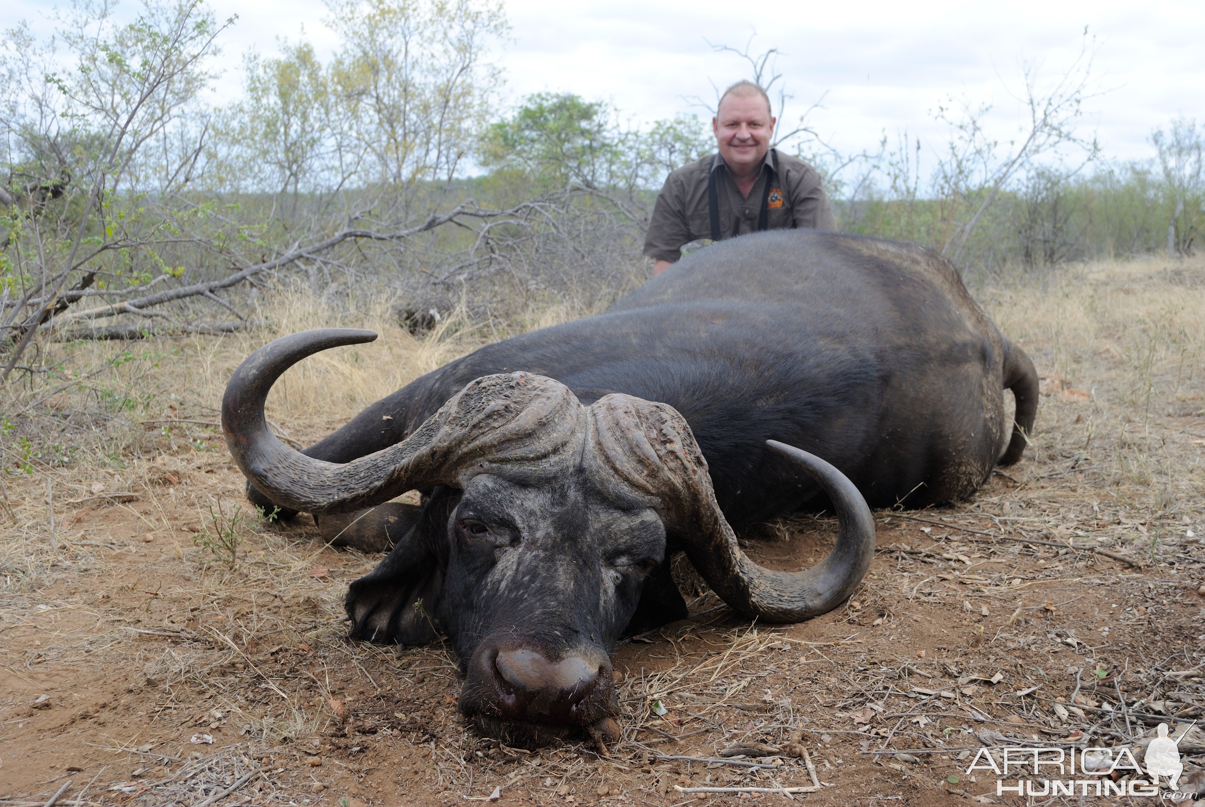 Buffalo Hunting Limpopo South Africa