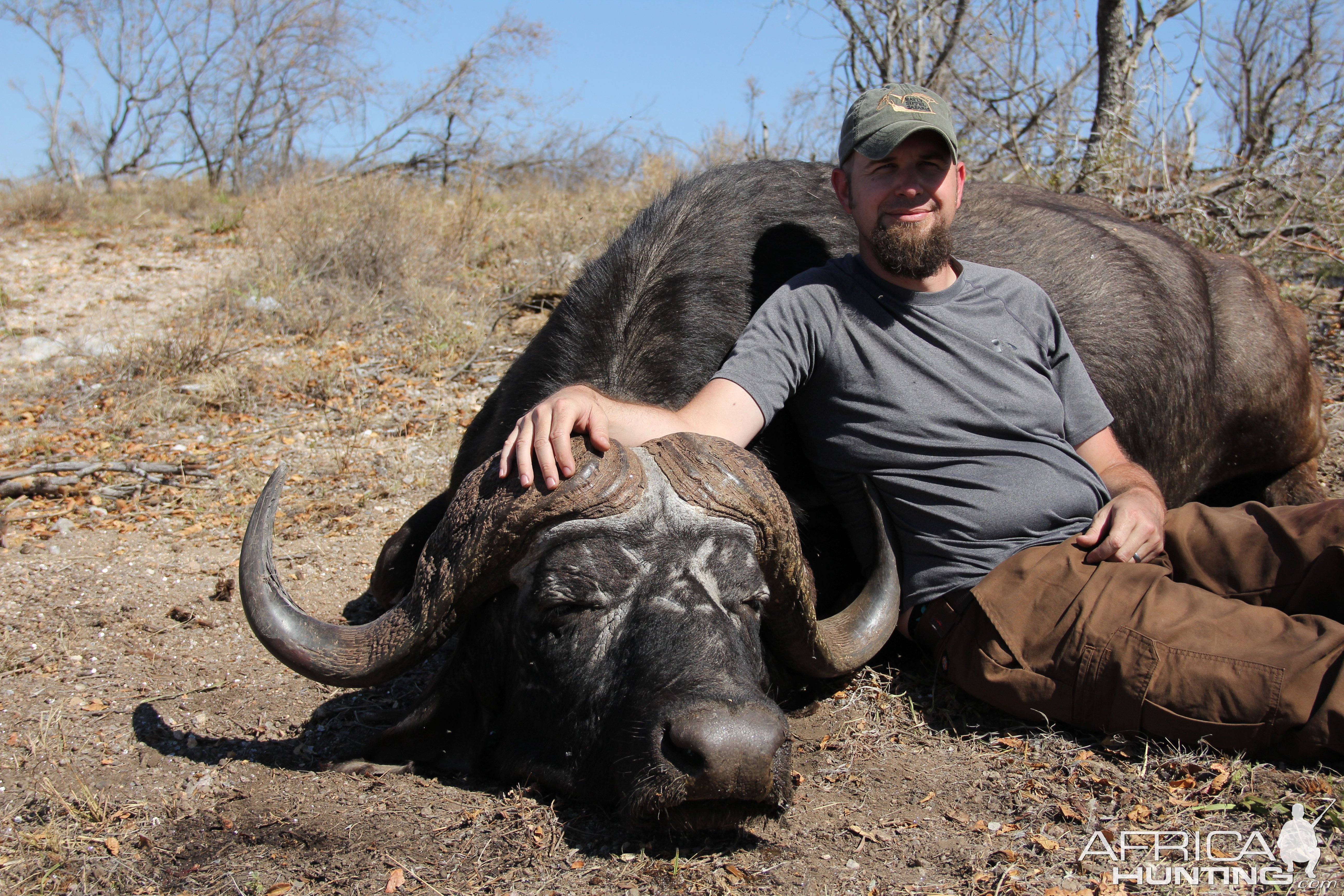 Buffalo Hunting Limpopo South Africa