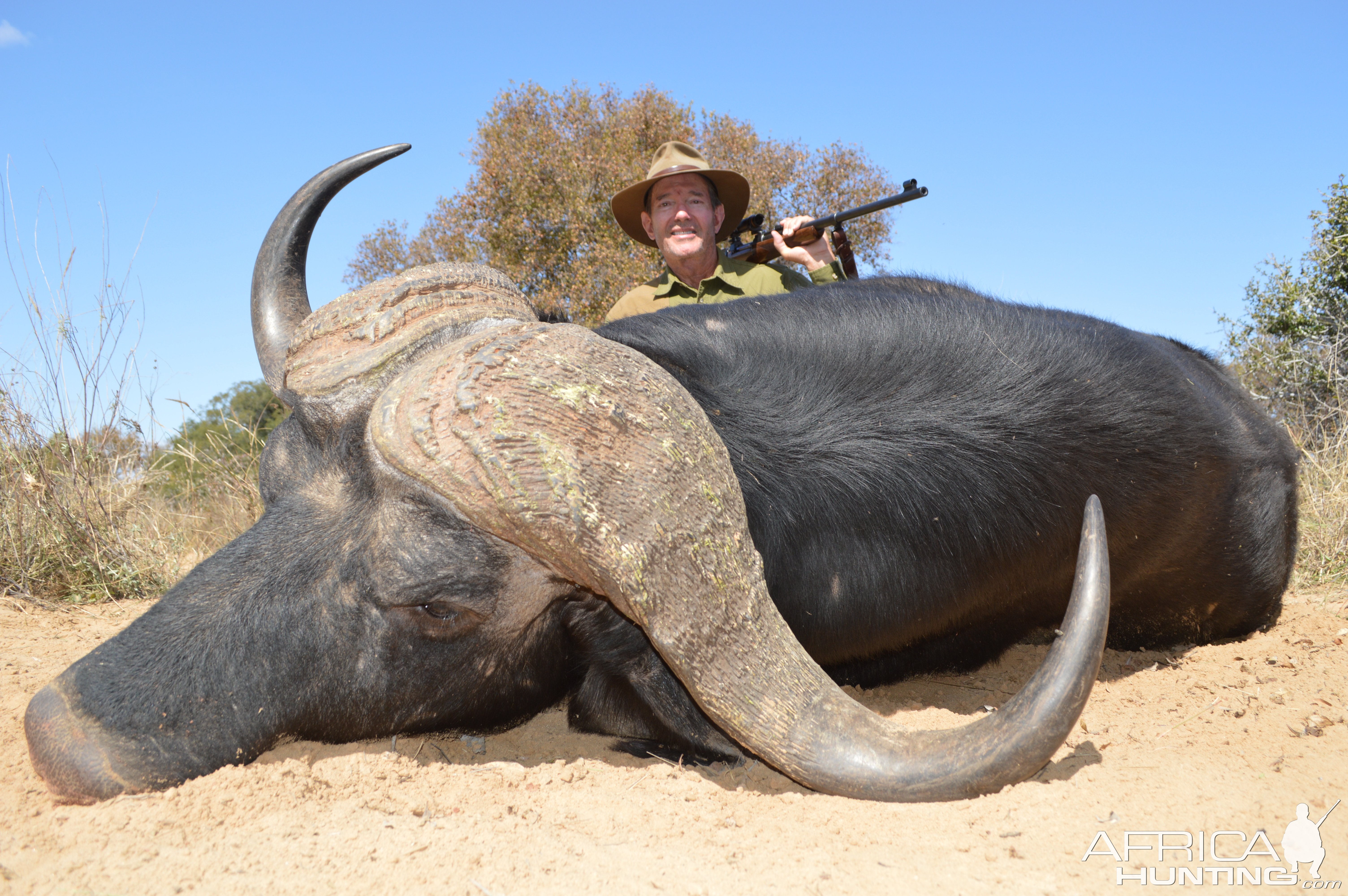 Buffalo Hunting Limpopo South Africa