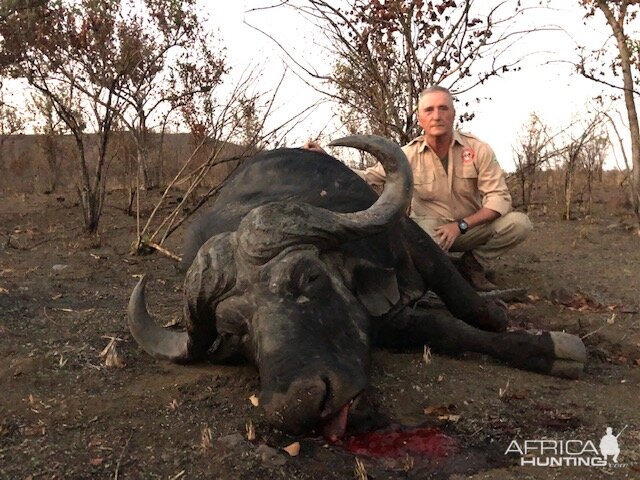 Buffalo Hunting Matetsi Zimbabwe