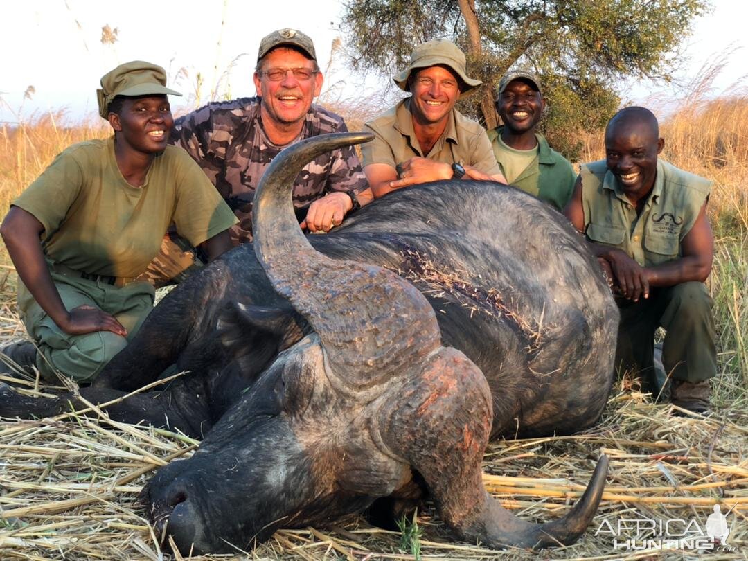 Buffalo Hunting Matetsi Zimbabwe