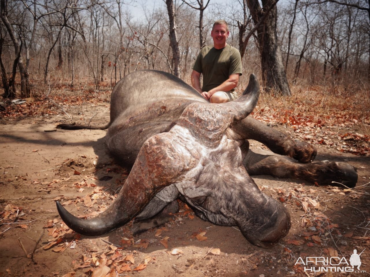 Buffalo Hunting Mozambique