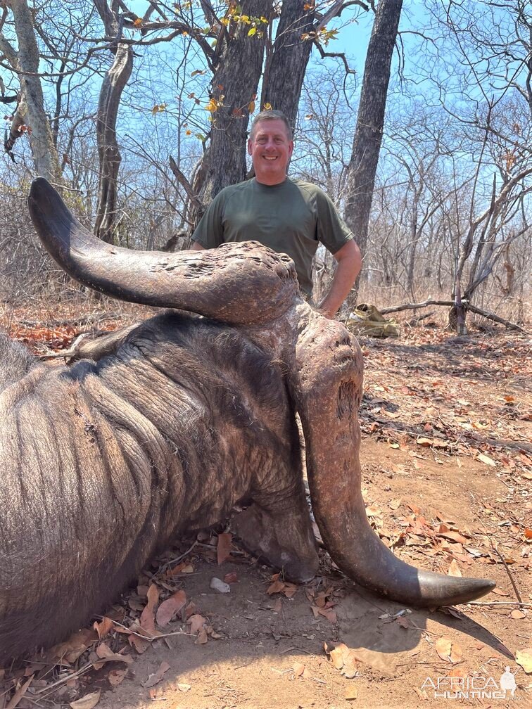 Buffalo Hunting Mozambique