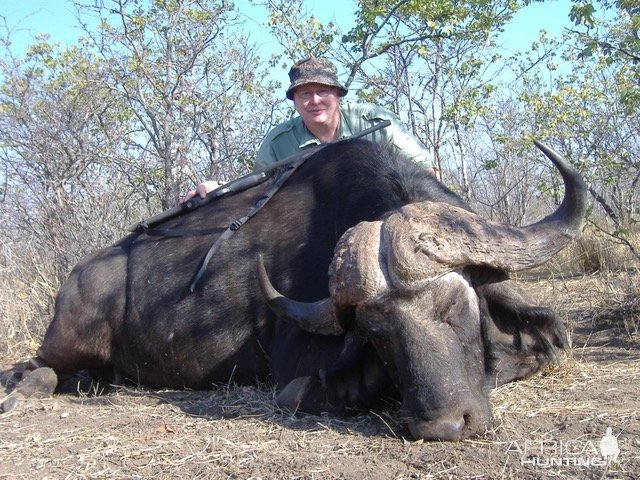 Buffalo Hunting Mozambique