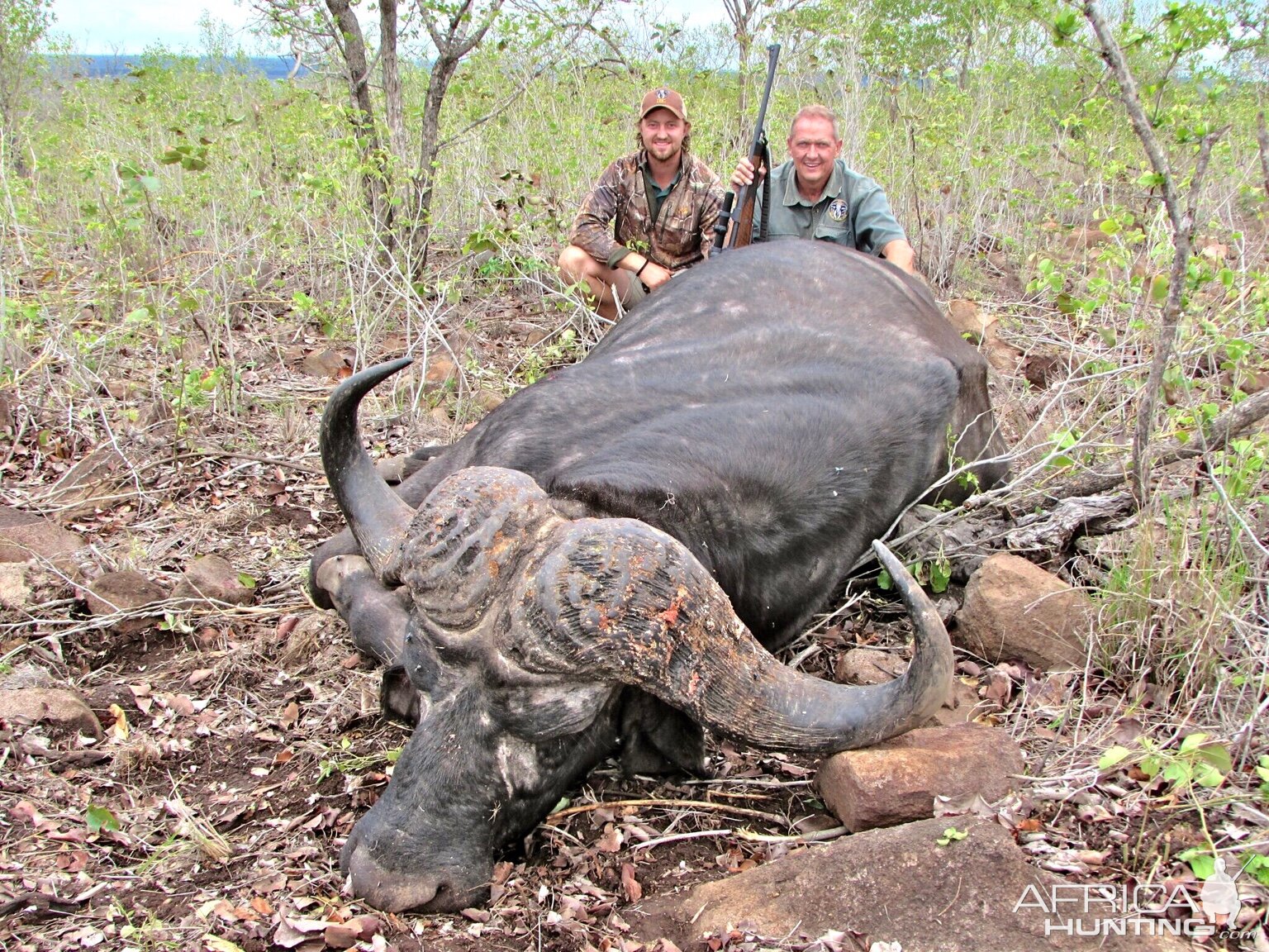 Buffalo Hunting Mozambique