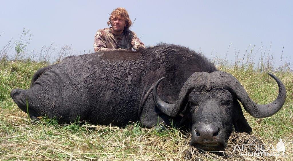 Buffalo Hunting Mozambique