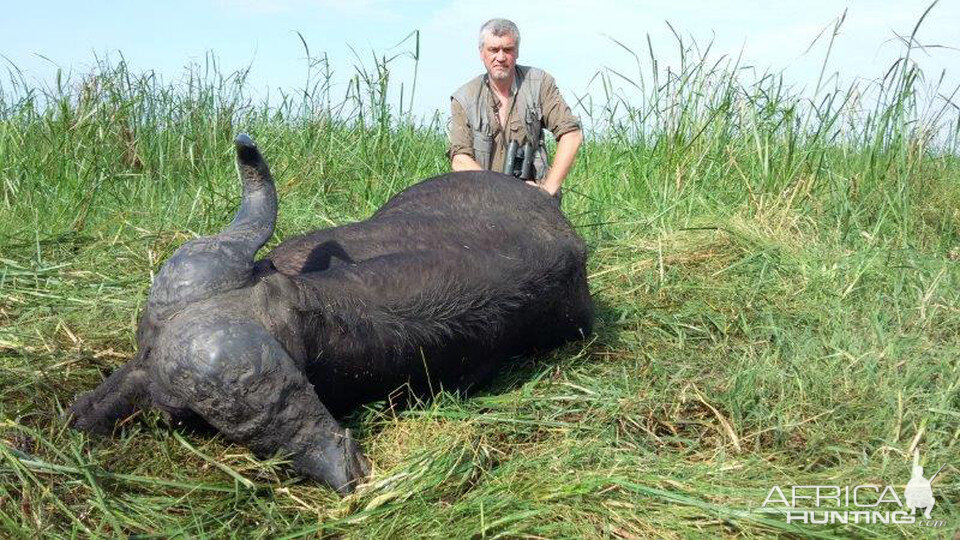 Buffalo Hunting Mozambique