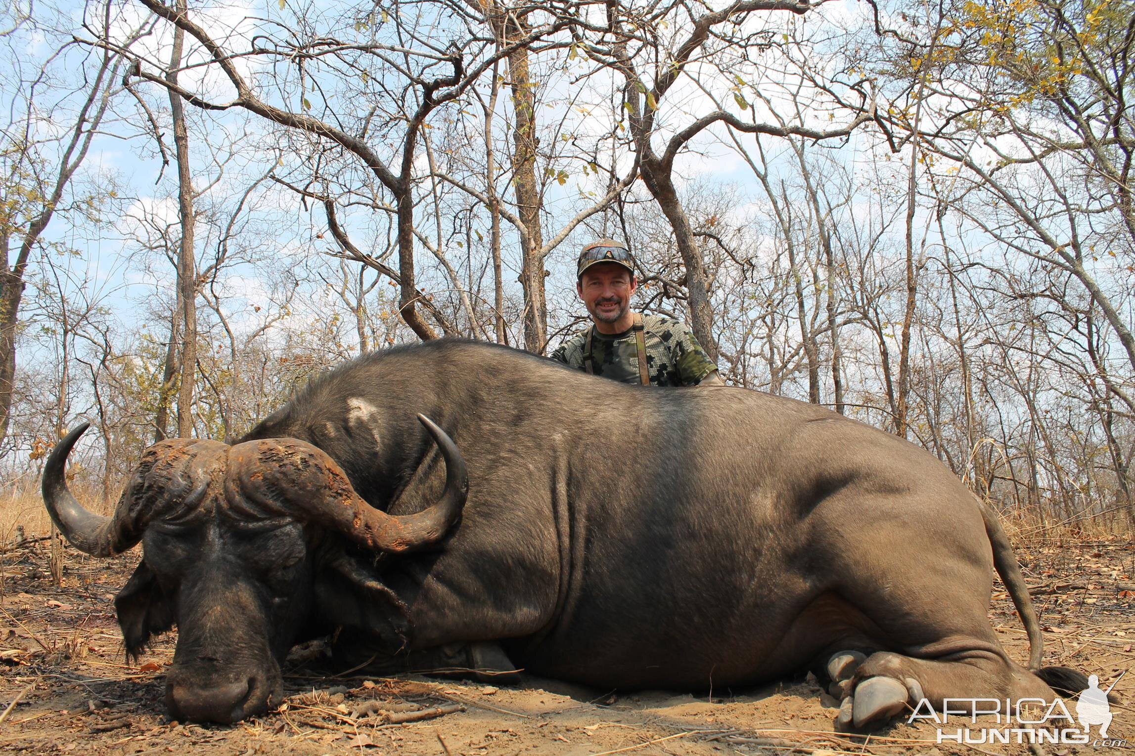 Buffalo Hunting Mozambique