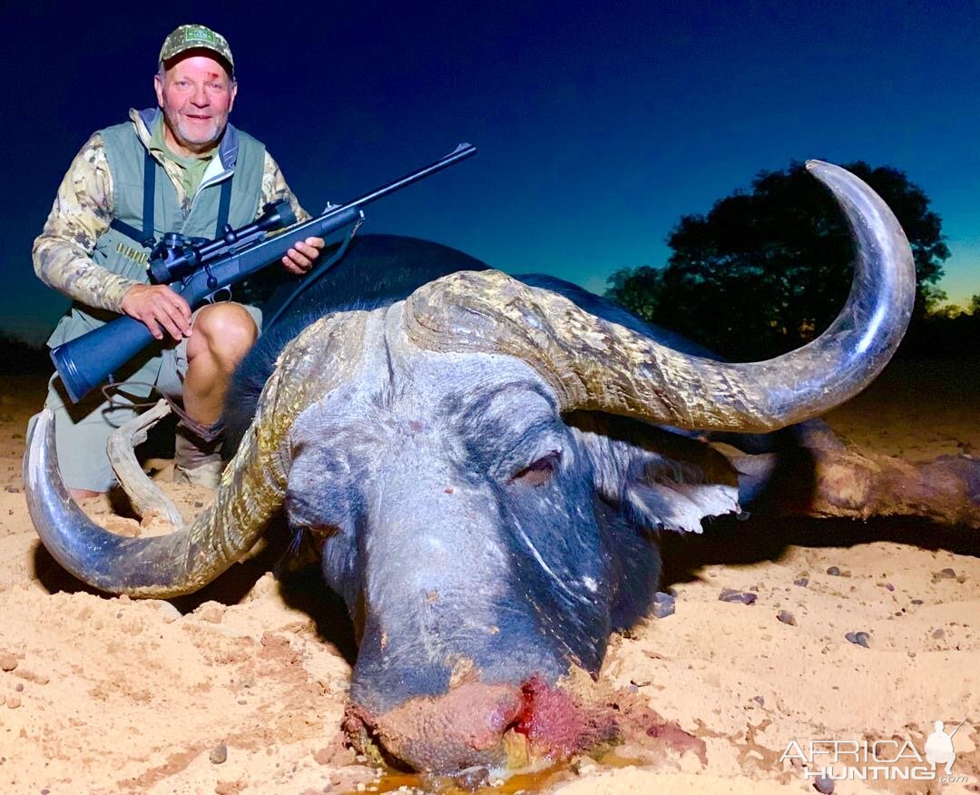 Buffalo Hunting Namibia