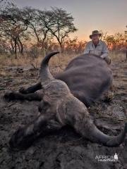 Buffalo Hunting Namibia