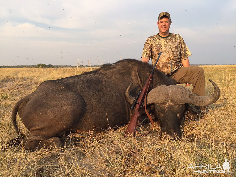 Buffalo Hunting Namibia