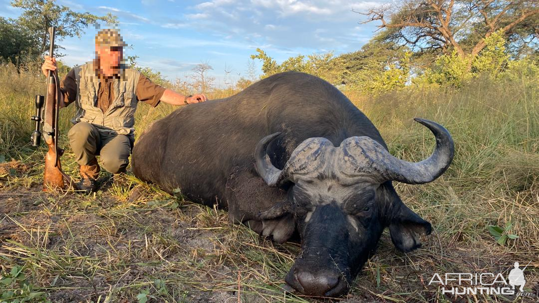 Buffalo Hunting Namibia