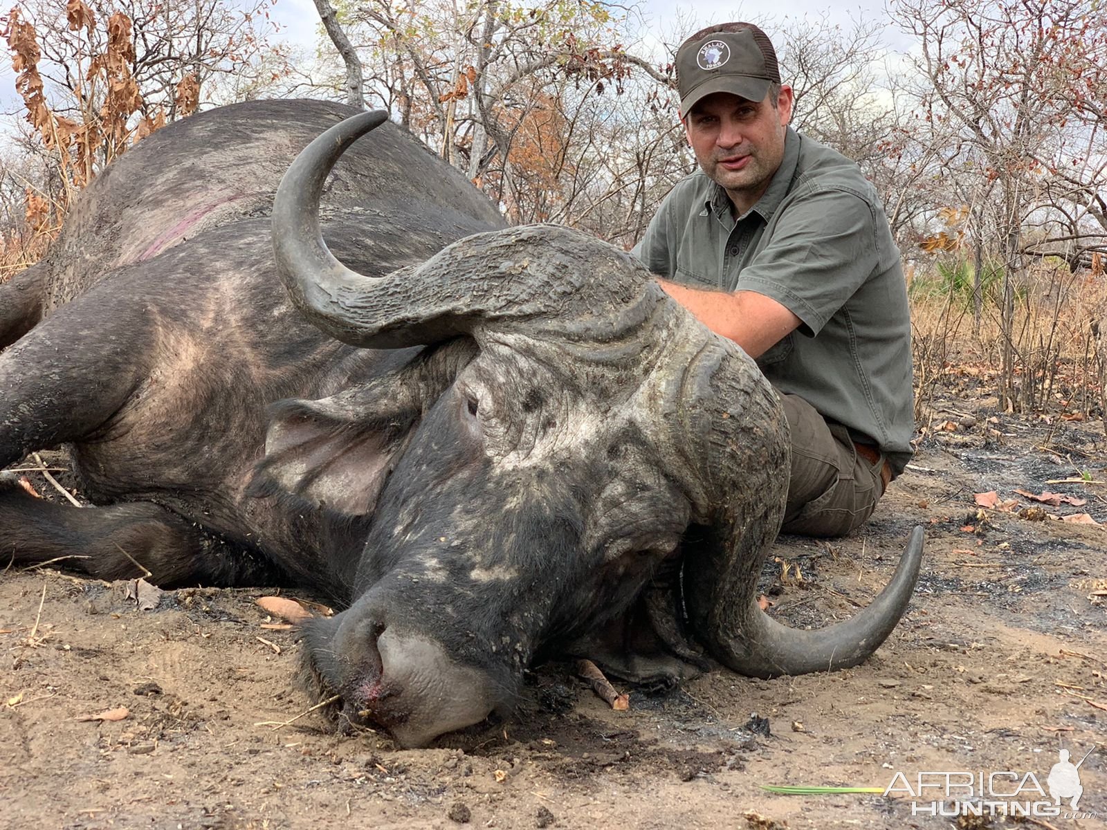 Buffalo Hunting Niassa Mozambique