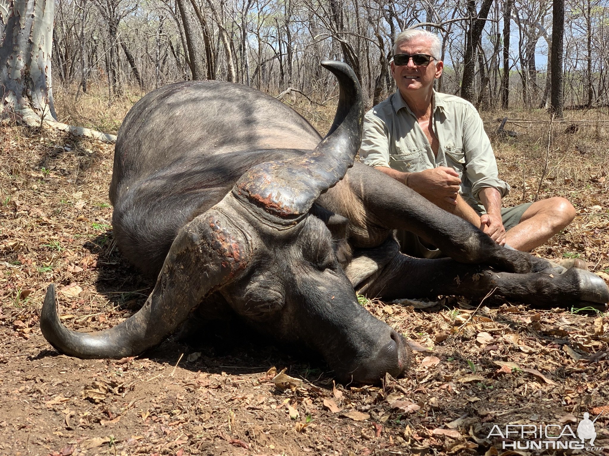 Buffalo Hunting Niassa Mozambique