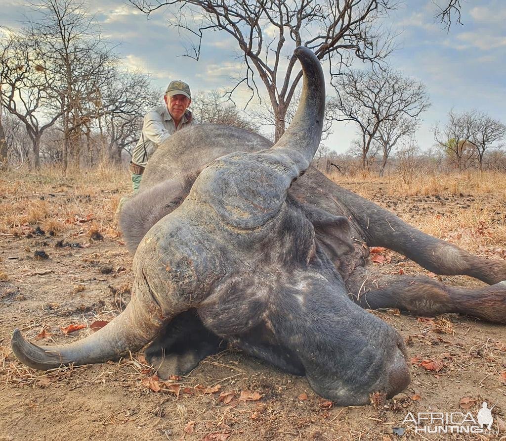 Buffalo Hunting Niassa Mozambique