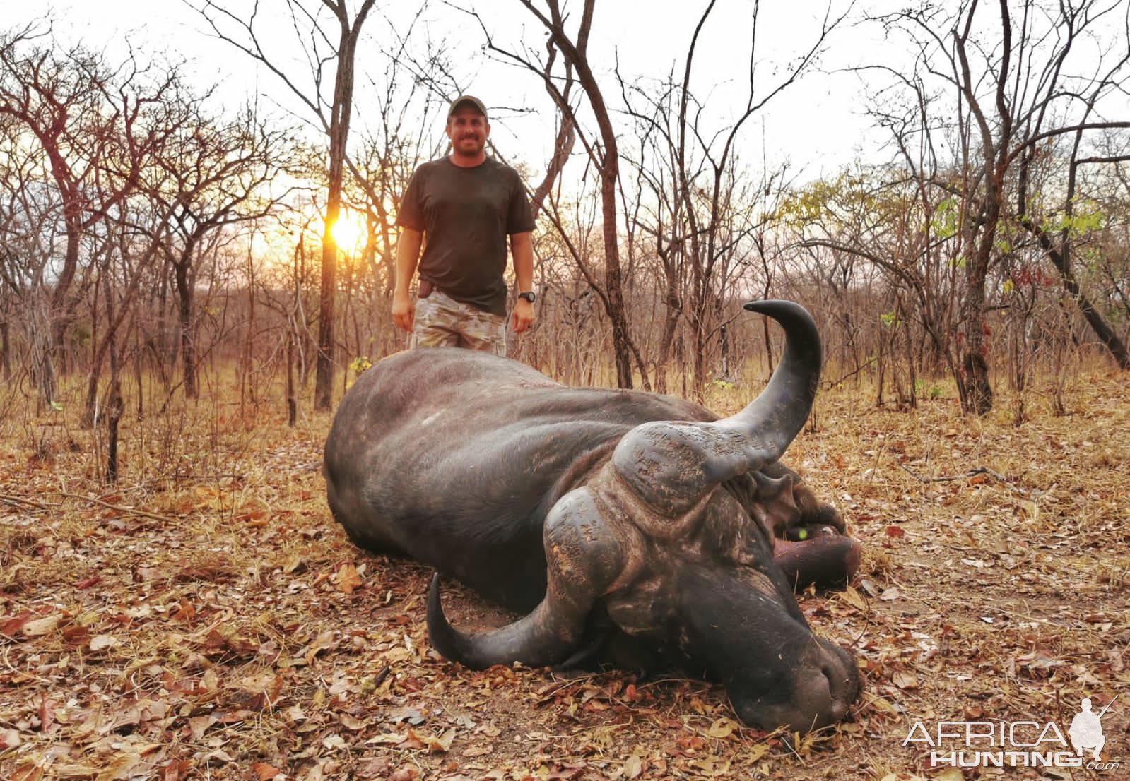 Buffalo Hunting Niassa Mozambique