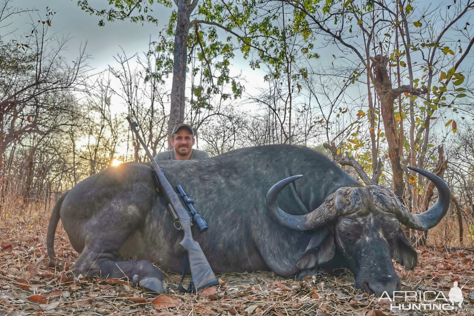 Buffalo Hunting Niassa Mozambique