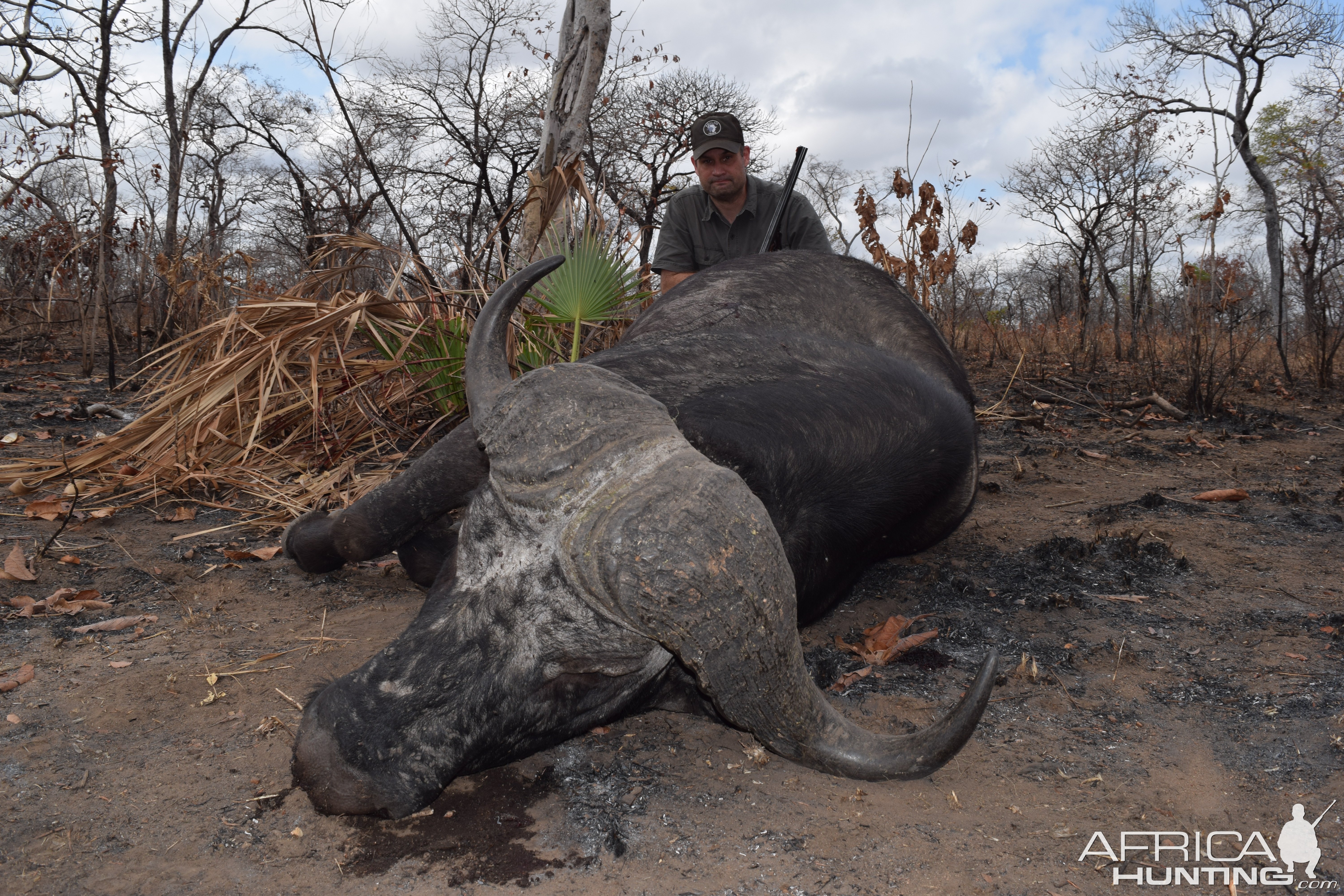 Buffalo Hunting Nissa Reserve Mozambique