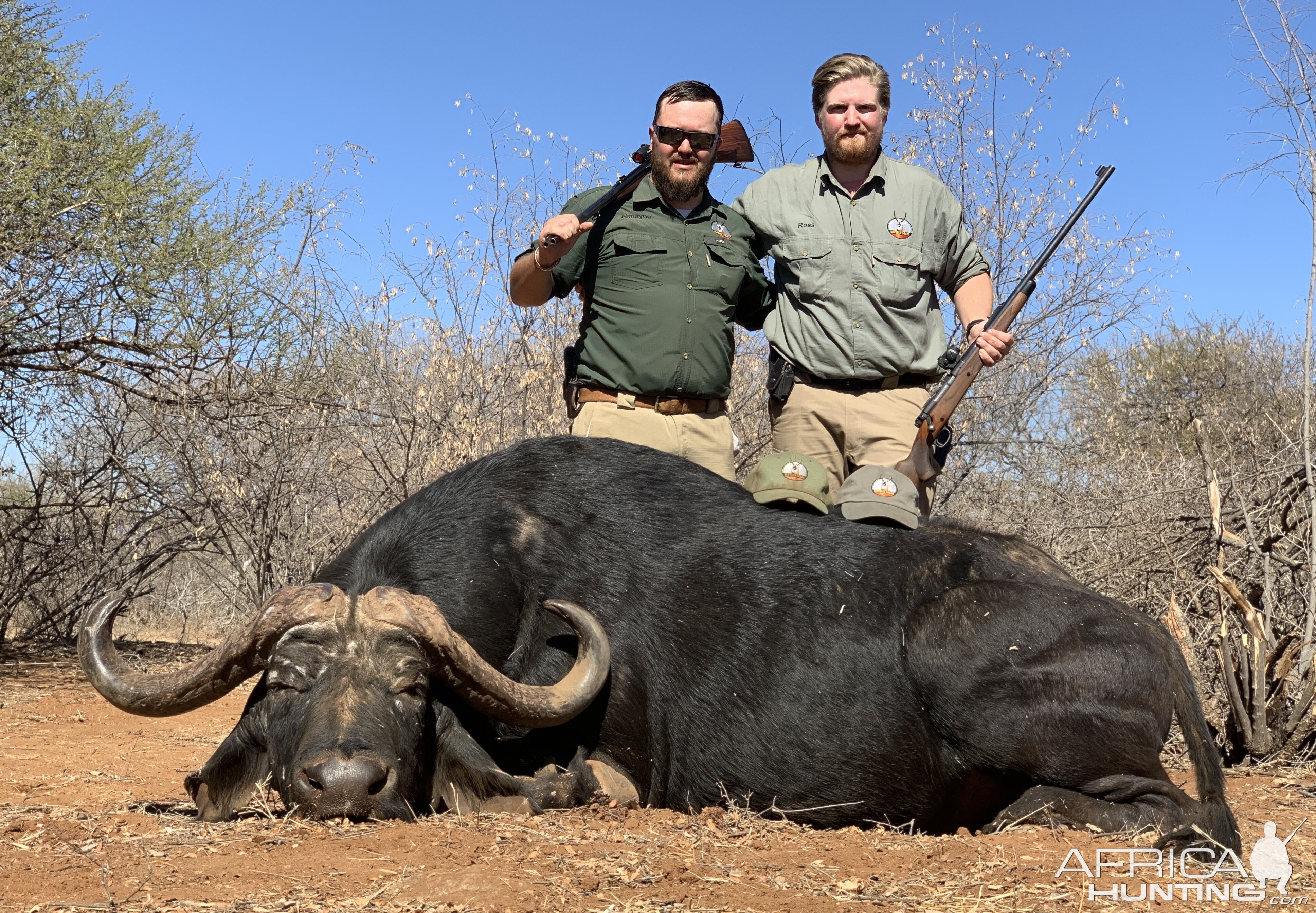 Buffalo Hunting South Africa