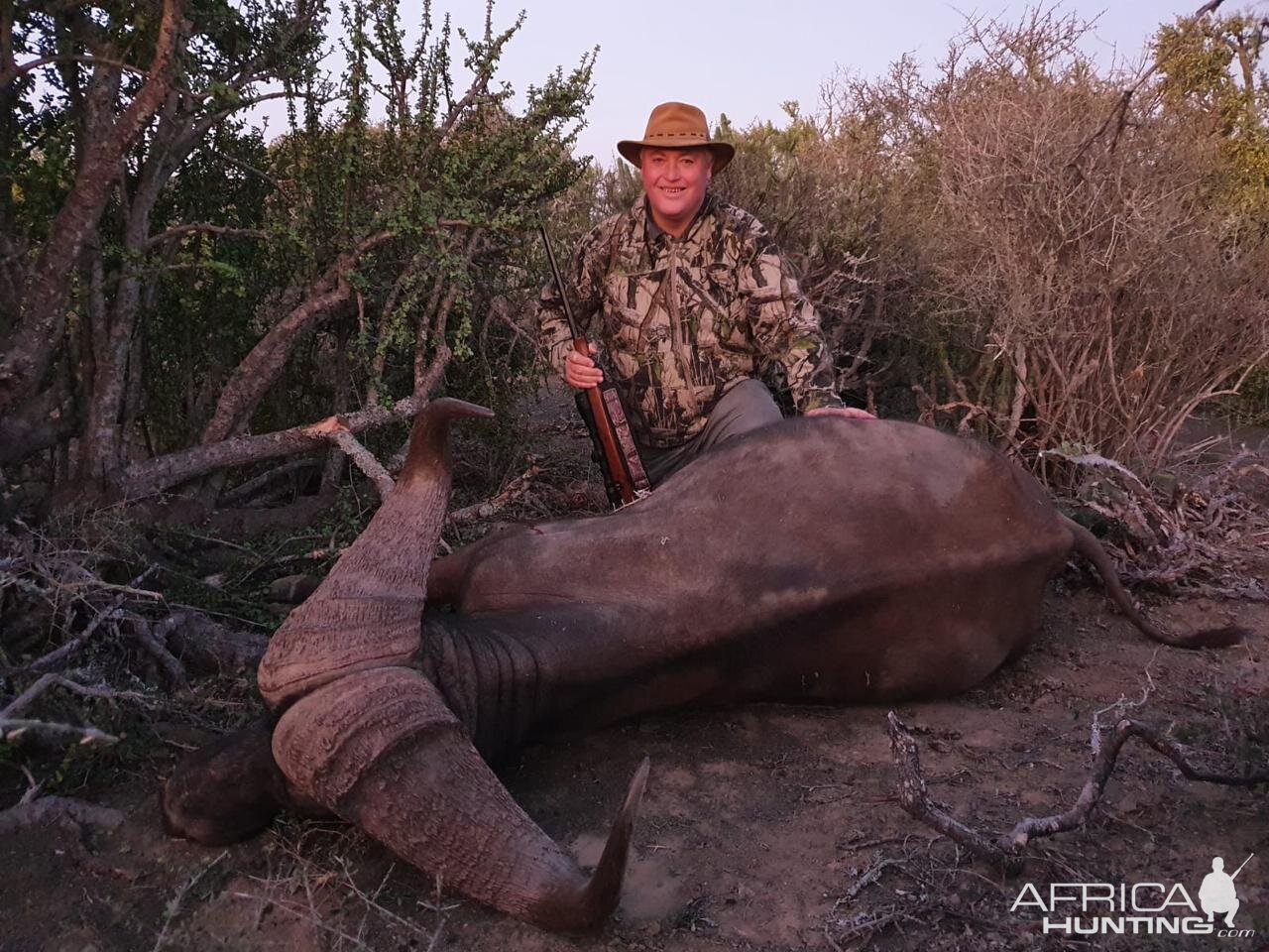 Buffalo Hunting South Africa