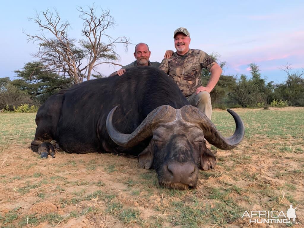 Buffalo Hunting South Africa