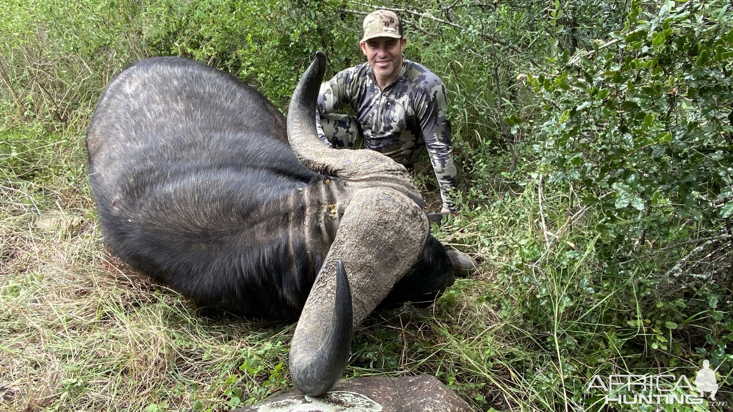 Buffalo Hunting South Africa