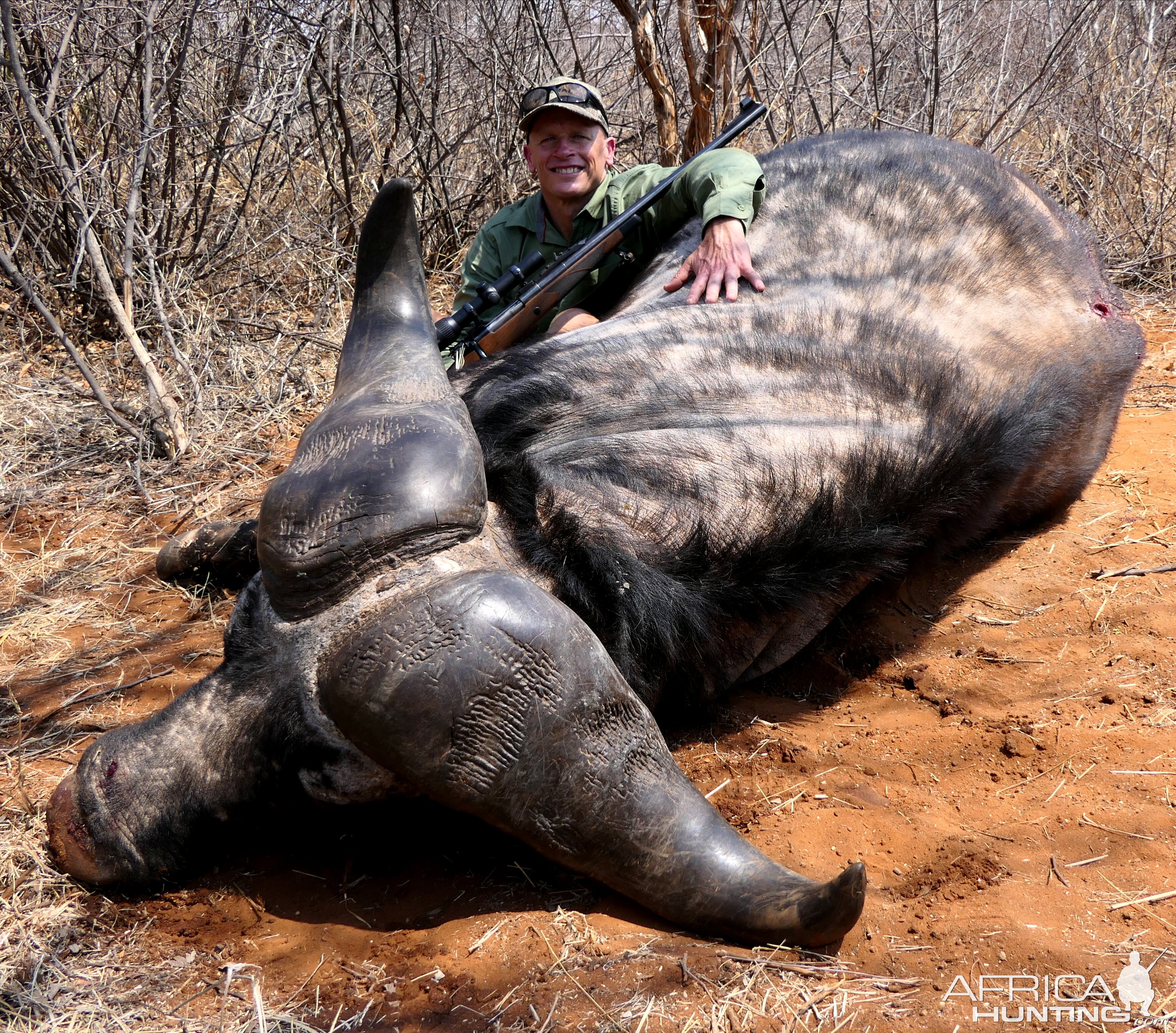 Buffalo Hunting South Africa