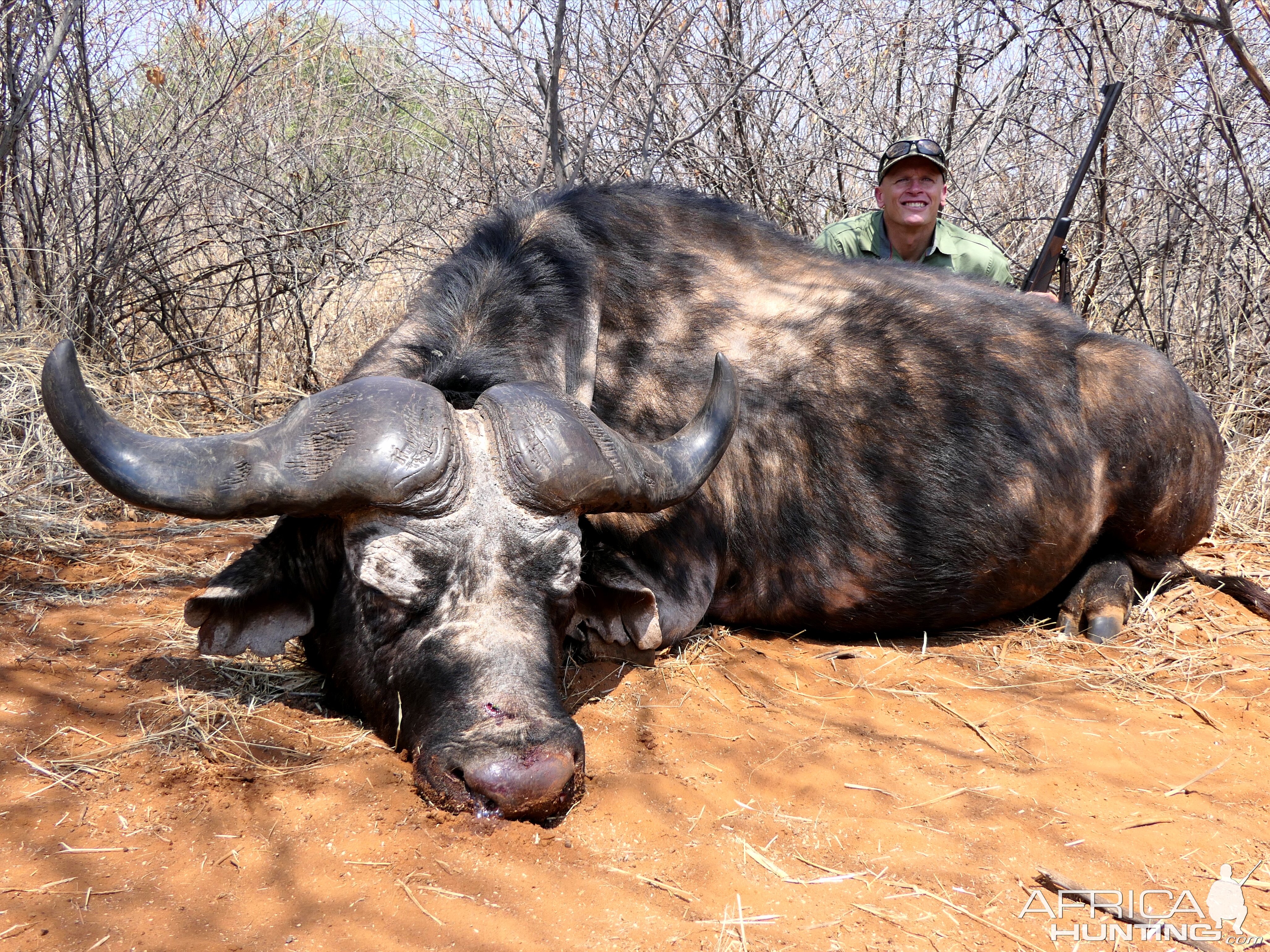 Buffalo Hunting South Africa