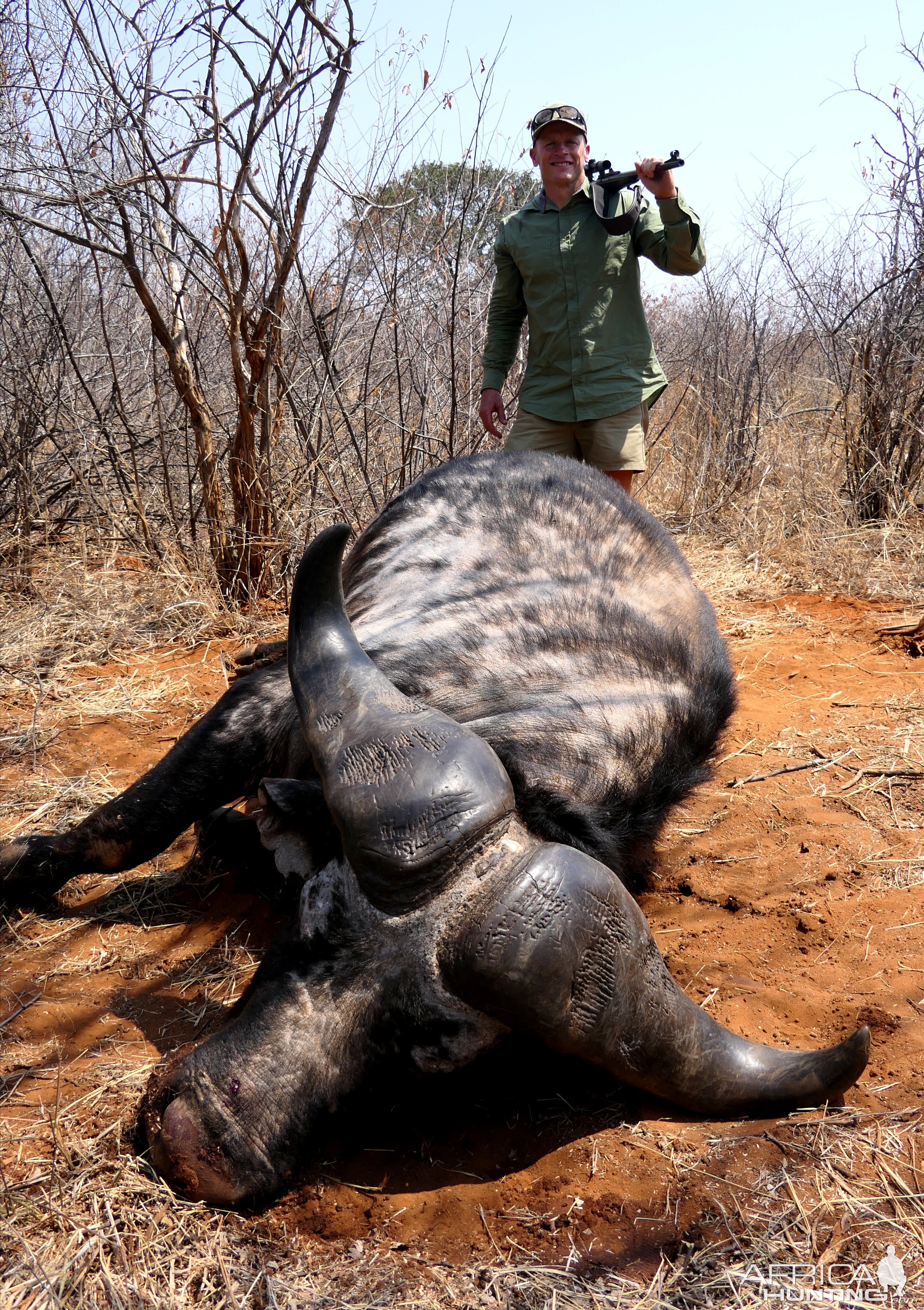 Buffalo Hunting South Africa