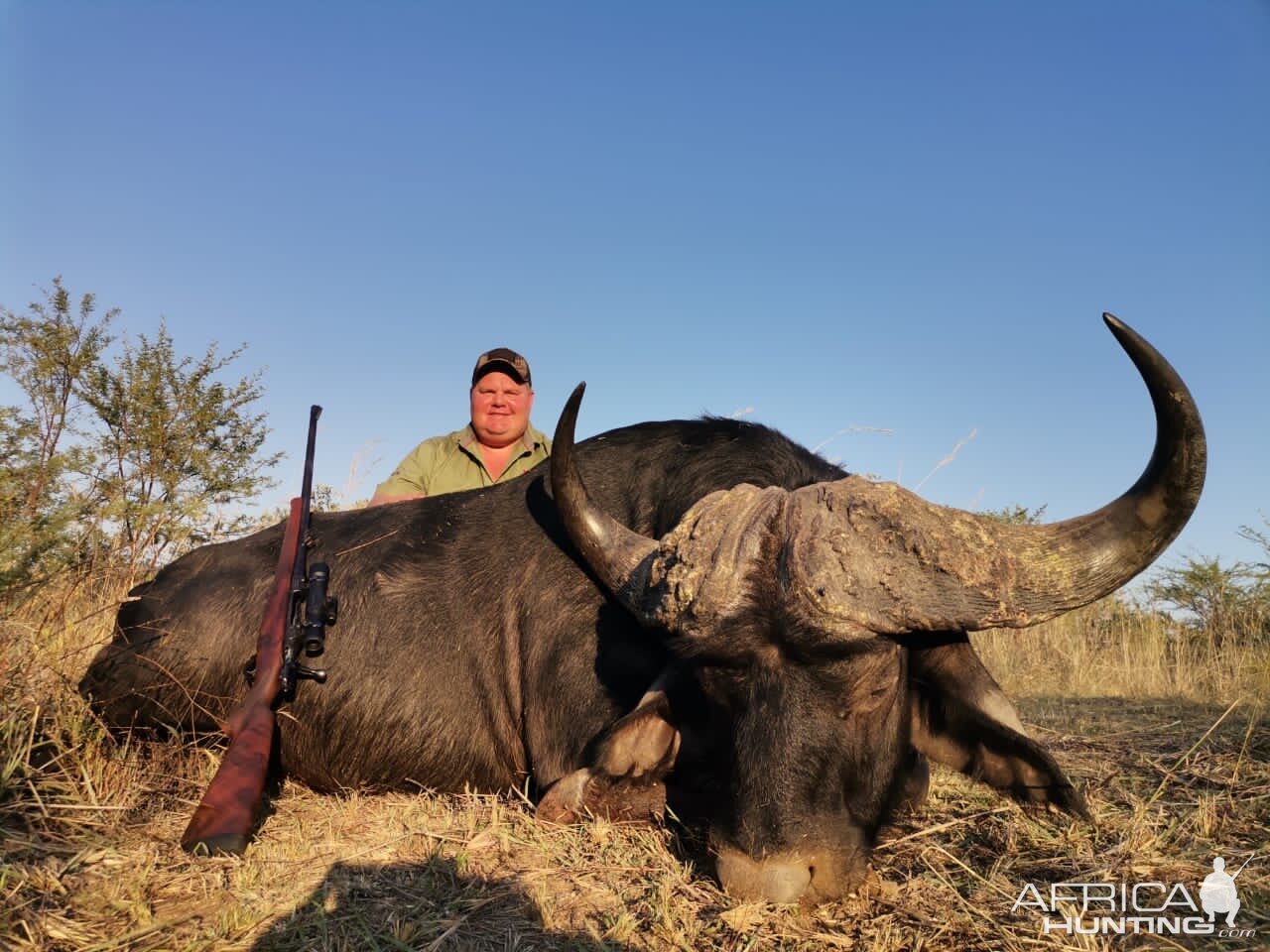 Buffalo Hunting South Africa