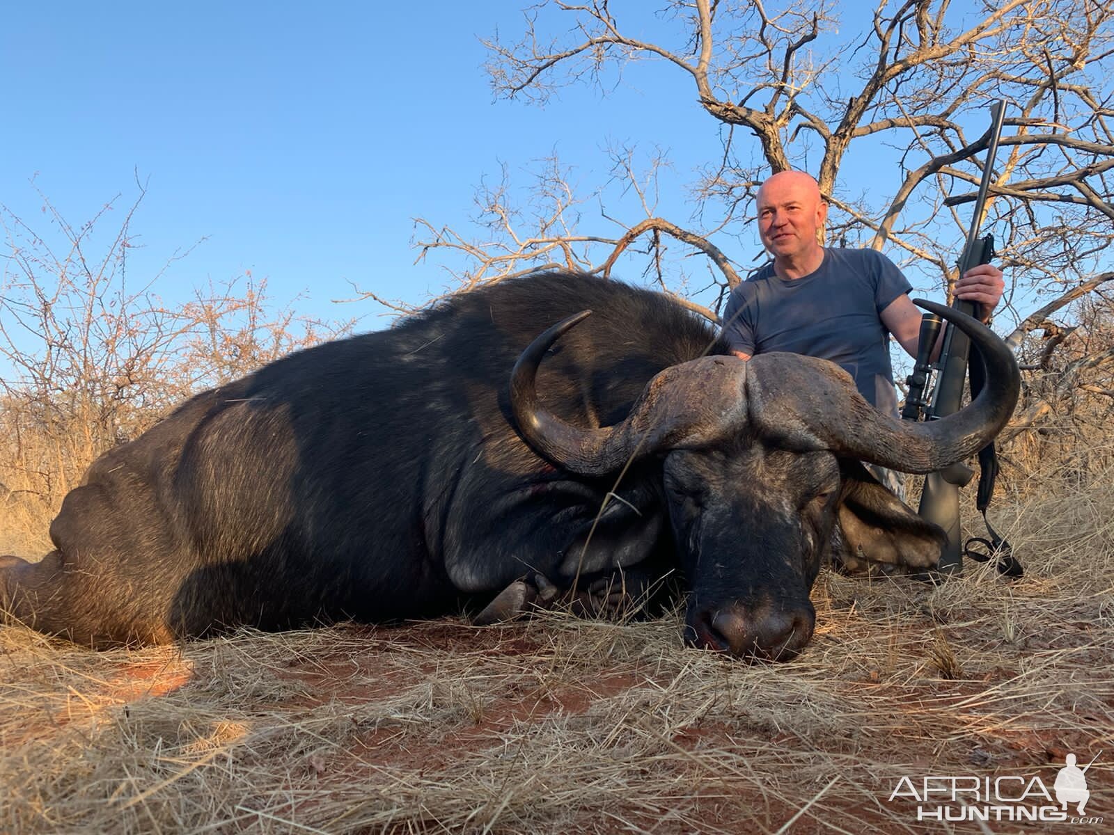 Buffalo Hunting South Africa