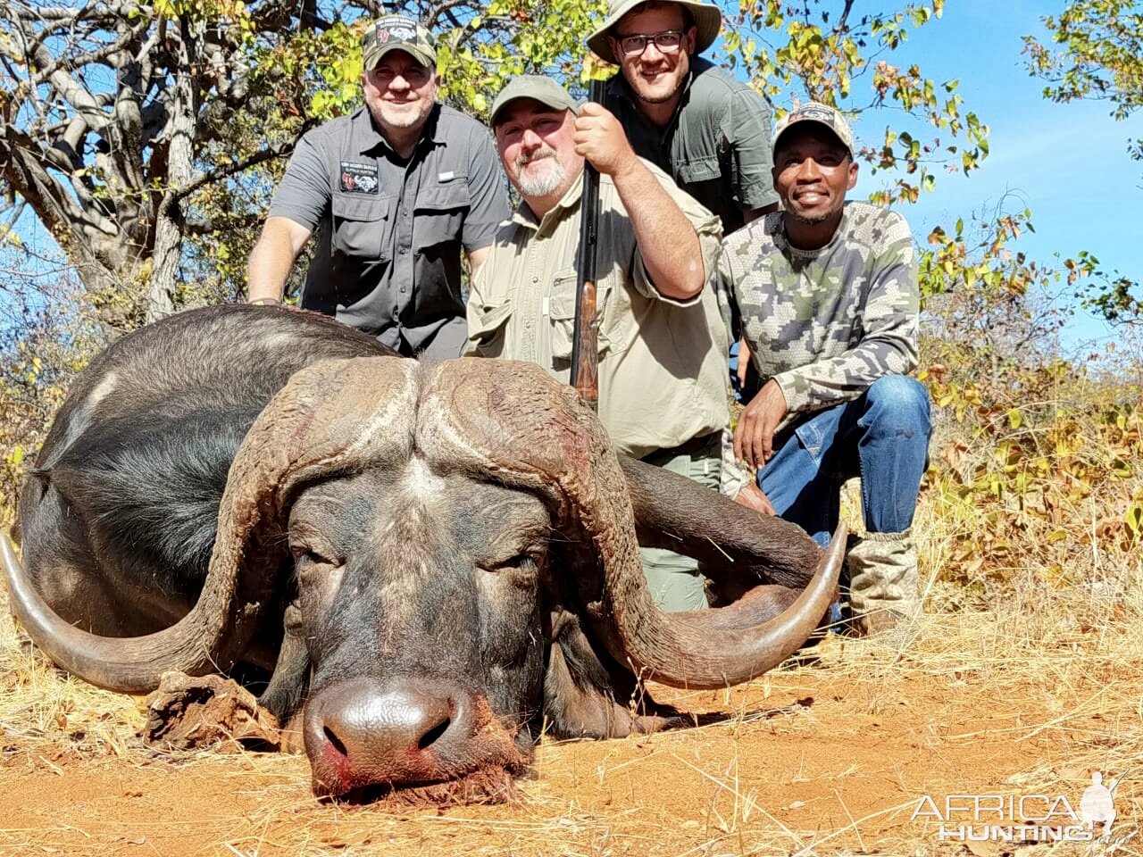 Buffalo Hunting South Africa