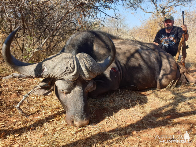 Buffalo Hunting South Africa