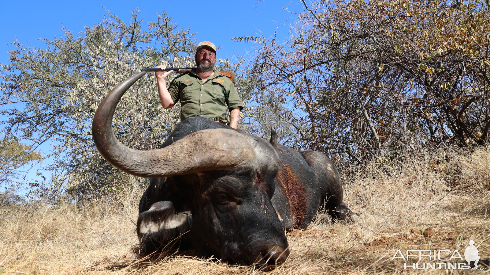 Buffalo Hunting South Africa