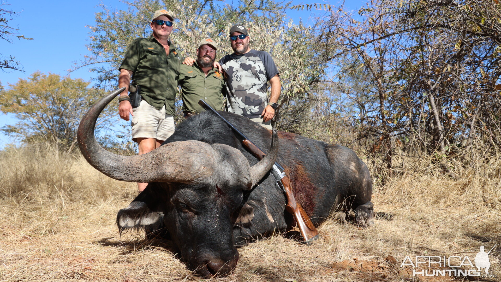 Buffalo Hunting South Africa