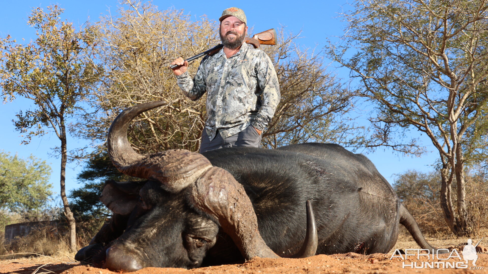 Buffalo Hunting South Africa