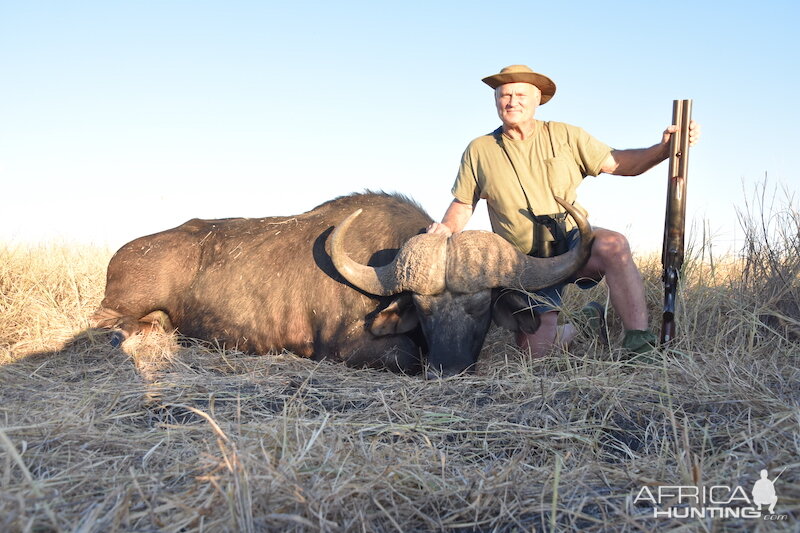 Buffalo Hunting South Africa