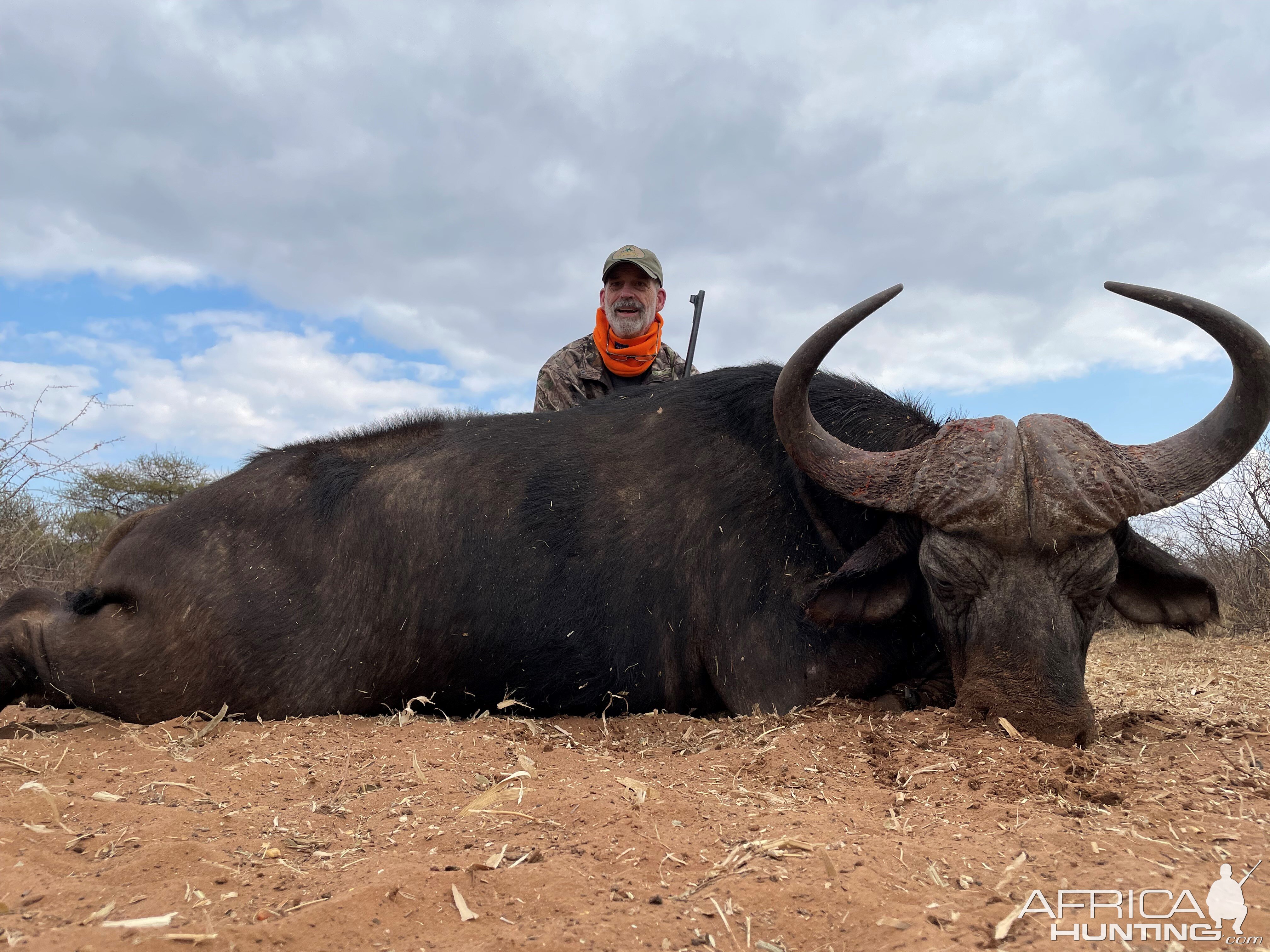 Buffalo Hunting South Africa