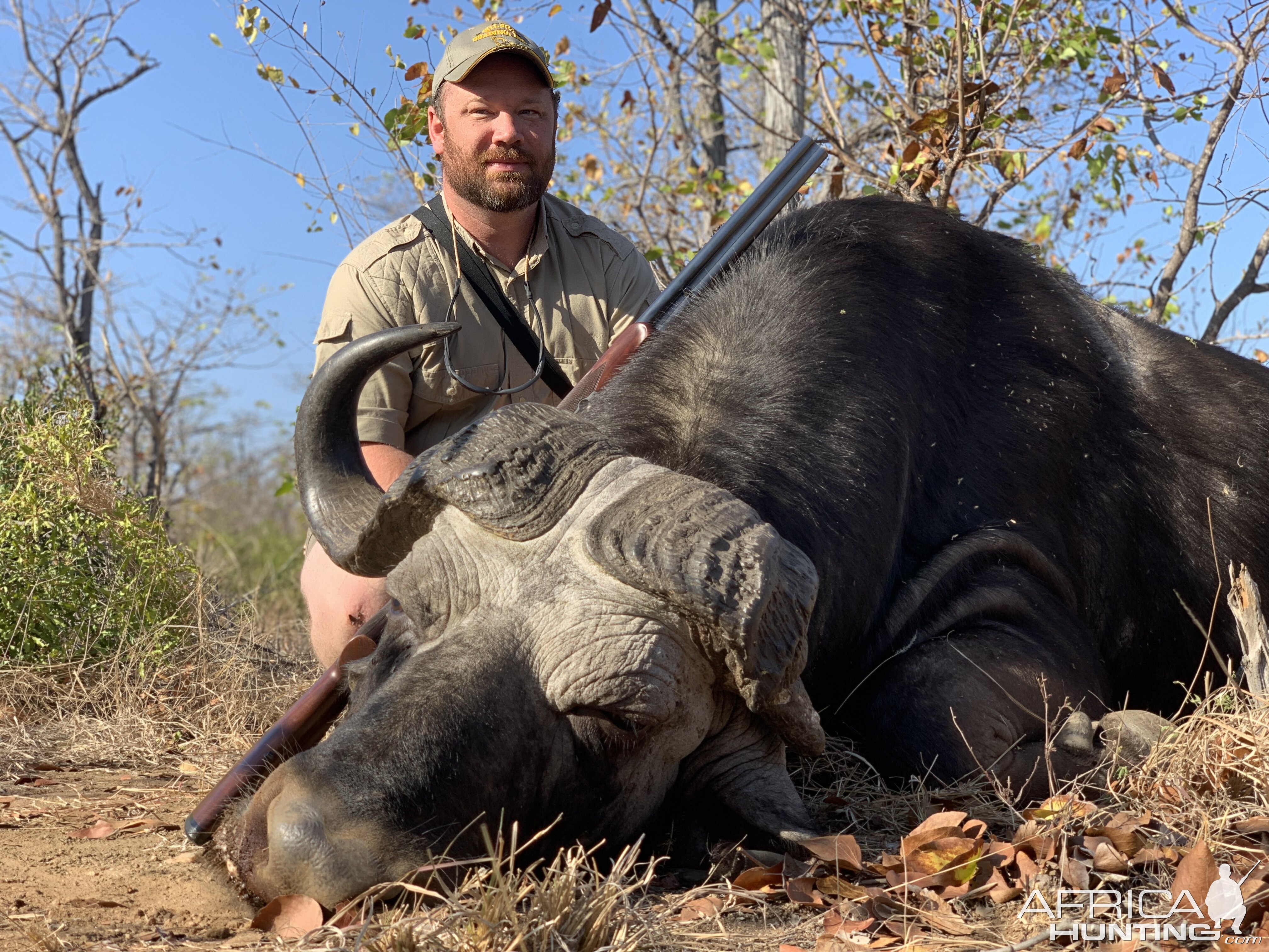 Buffalo Hunting South Africa