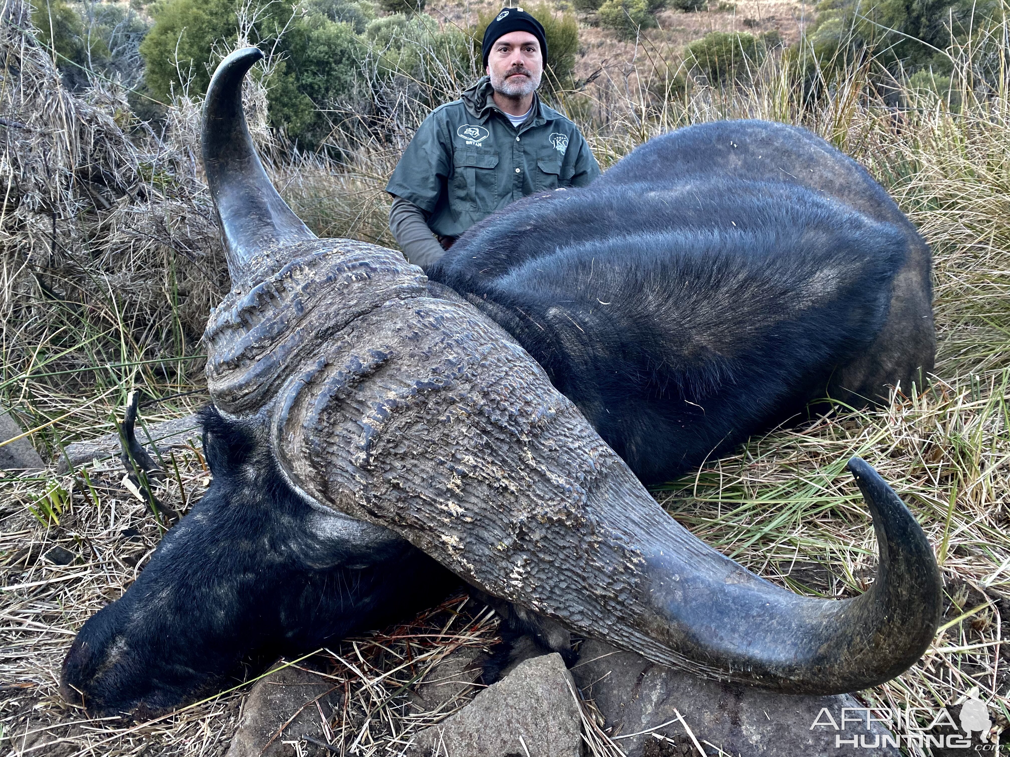 Buffalo Hunting South Africa