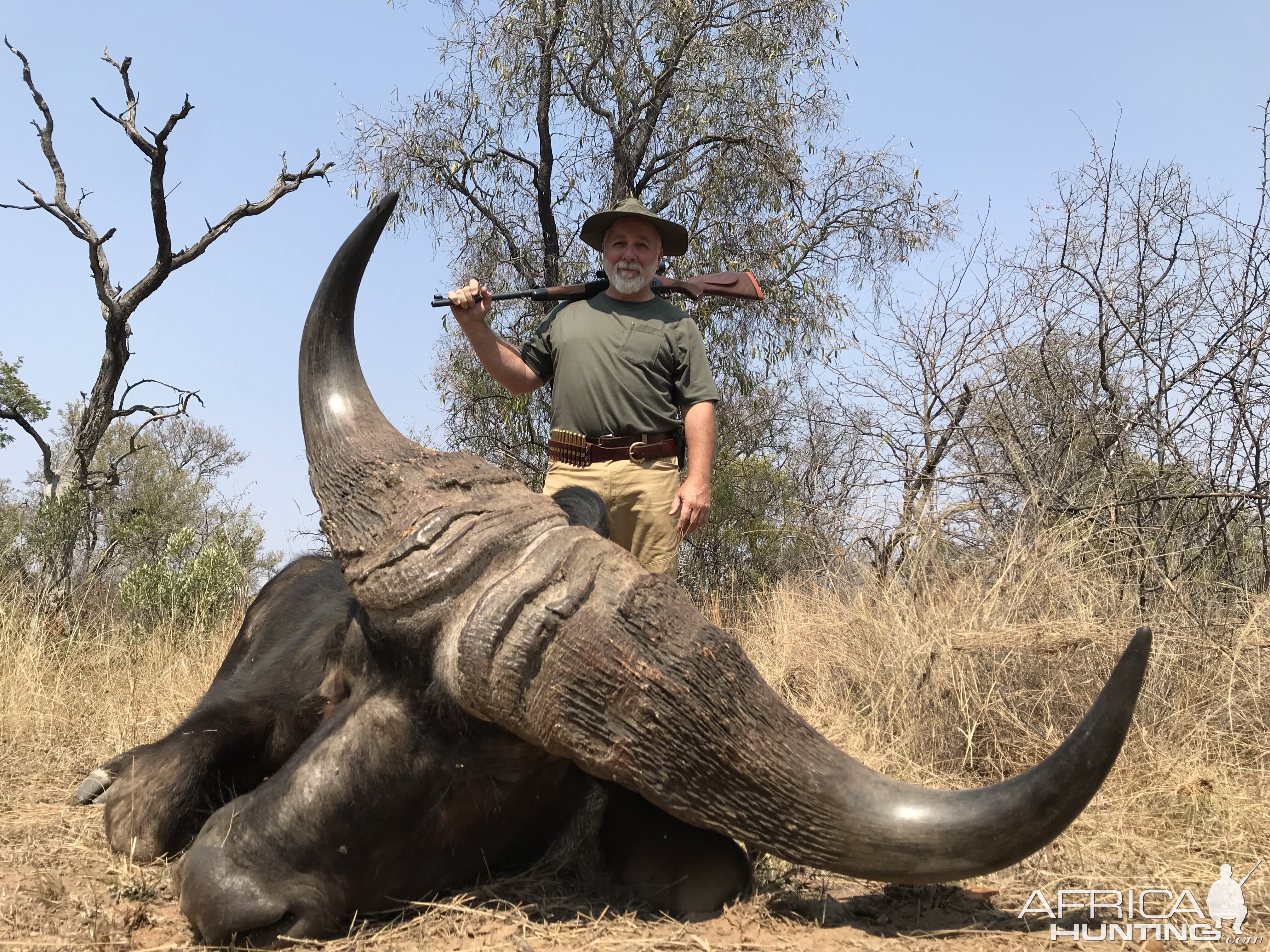 Buffalo Hunting South Africa