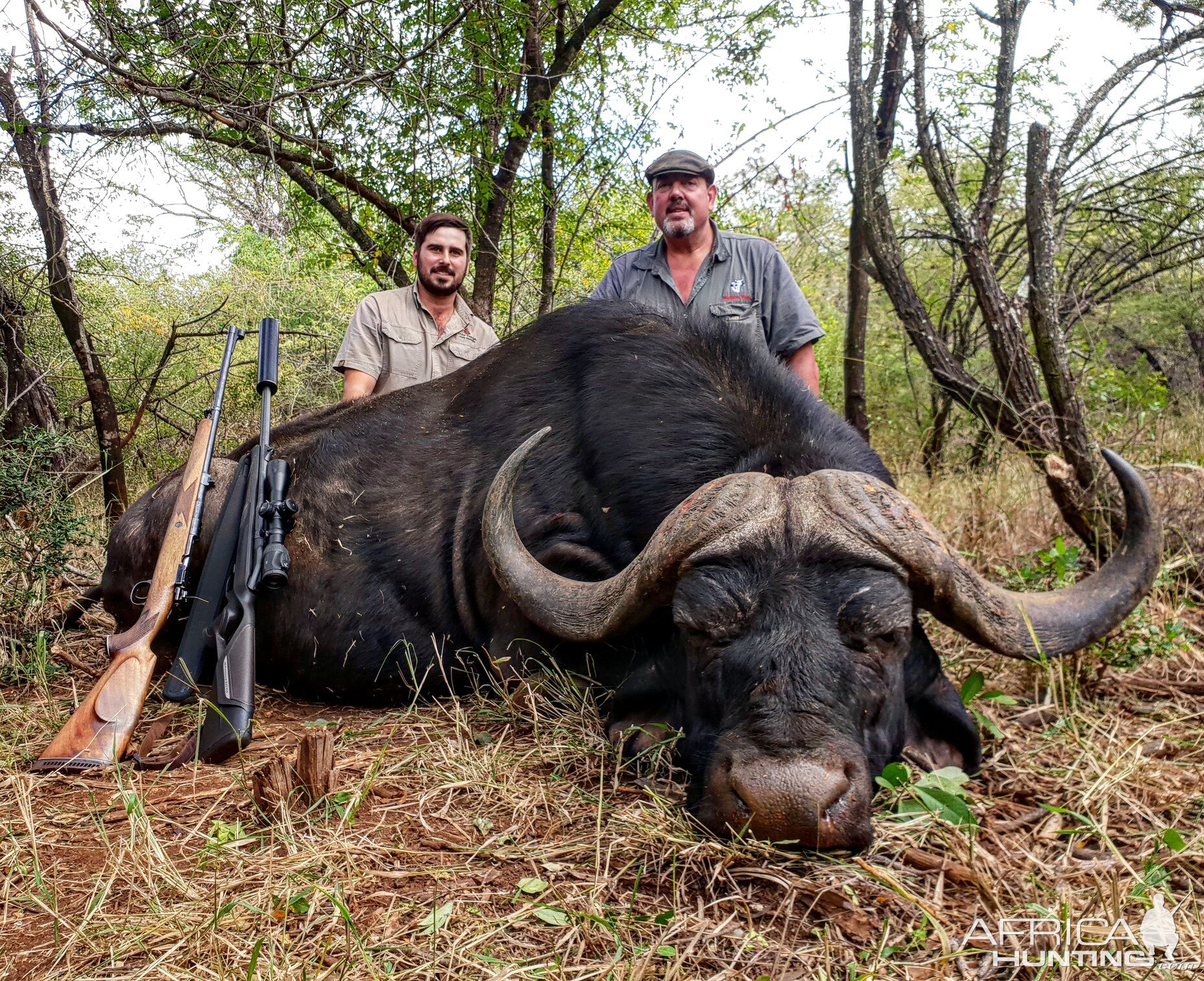 Buffalo Hunting South Africa