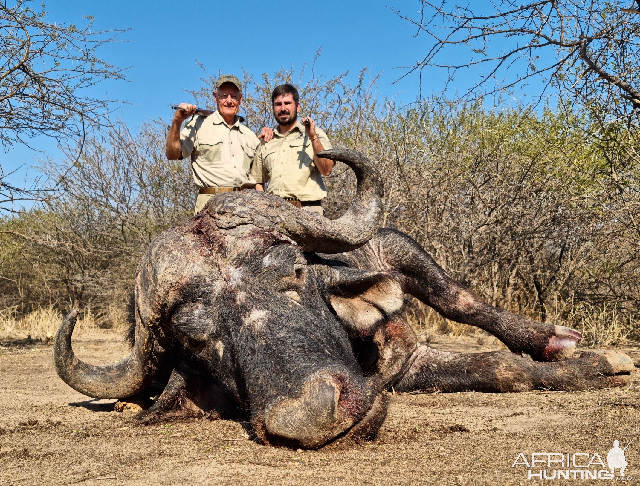 Buffalo Hunting South Africa