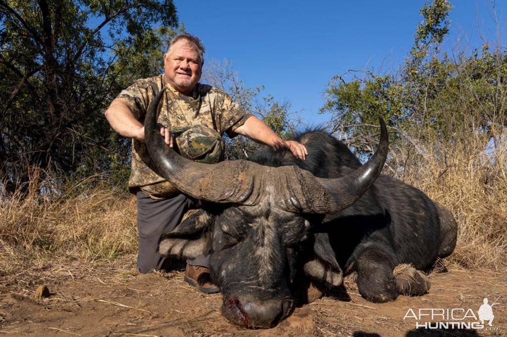 Buffalo Hunting South Africa